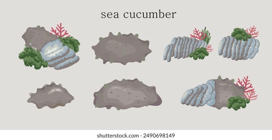 sea cucumber fish food cartoon illustration