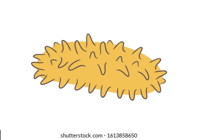 Sea cucumber logo. Isolated sea cucumber on white background. Trepang