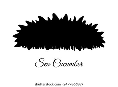 Sea cucumber silhouette isolated on white background.