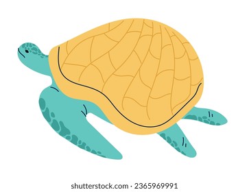 Sea cute turtle animal tortoise character isolated concept. Vector graphic design illustration