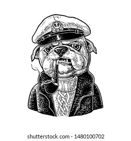 Sea dog smoking a pipe and dressed in captain hat, sweater, pea jacket. Vector black engraving vintage illustrations. Isolated on white background. For tattoo, poster, web and label