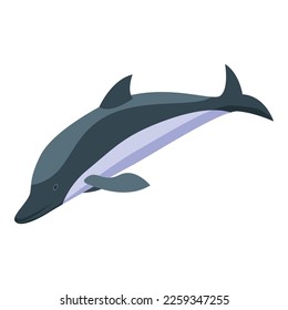 Sea dolphin icon isometric vector. Fish life. Wild animal