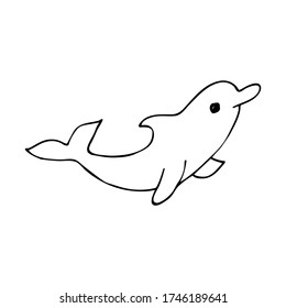 Sea dolphin, line art. Hand-drawn. Vector illustration