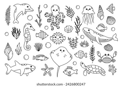 Sea doodle big set with cute sea life elements. Hand drawn sketch with ocean animal. Vector icon