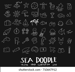 sea doodle drawing vector set on chalkboard
