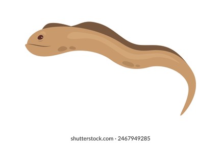 Sea eel, wild marine animal and funny aquatic saltwater creature vector illustration