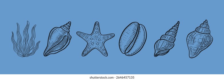 Sea elements on blue set vector. Seashell vector set, coral plants, and starfish in black on deep blue.