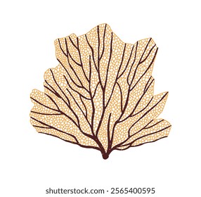 Sea fan, underwater coral branch. Exotic gorgonian seafan, undersea plant with veins. Marine reef decoration, tropical under water flora. Flat vector illustration isolated on white background