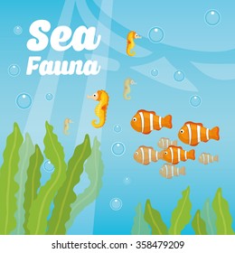 Sea fauna cartoon