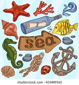 Sea. Fauna. Fish, starfish, seahorse, shell. Vector.