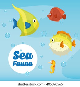 Sea Fauna graphic design, vector illustration