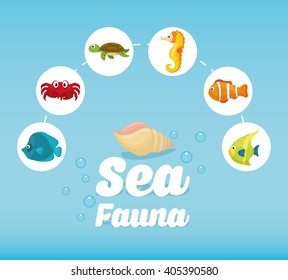 Sea Fauna graphic design, vector illustration