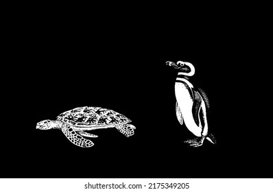 Meeresfauna auf isoliertem schwarzem Hintergrund.Schildkröte. Pinguin. Vektorgrafik. EPS10.