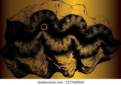 Sea fauna on an isolated black background. Ocean mollusks. Shells. Vector illustration. EPS8.