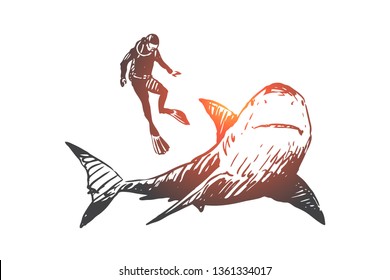 Sea, fauna, shark, swim, underwater, marine concept. Hand drawn studying of marine fauna life. Shark and diver concept sketch. Isolated vector illustration.