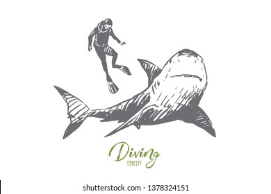 Sea, fauna, shark, swim, underwater, marine concept. Hand drawn studying of marine fauna life. Shark and diver concept sketch. Isolated vector illustration.