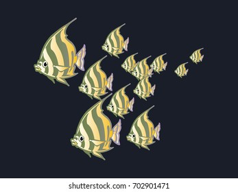 sea fish 