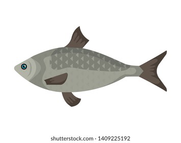 sea fish animal icon vector illustration