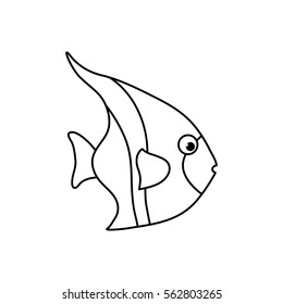 Sea fish animal icon vector illustration graphic design
