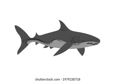 sea fish with big teeth.isolated on a white background, vector illustration