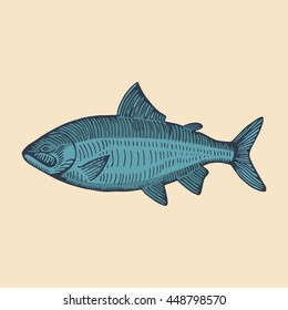 sea fish blue. vector
