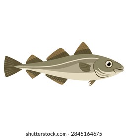 Sea fish codfish created as vector illustration, perfect for marine biology themes and aquatic life artwork