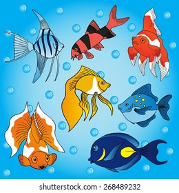 Sea fish collection - vector illustration.