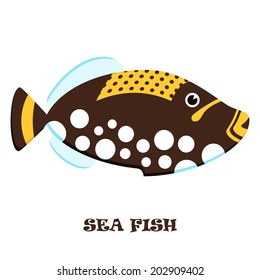Sea Fish color vector illustration.