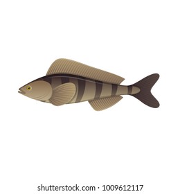 Sea fish. Colorful fish of sea, swimming on blue deep sea bottom. Fish and shellfish, eating, delicious menu, market fish to around the world. Ingredient for cooking, tasty food. Vector illustration.