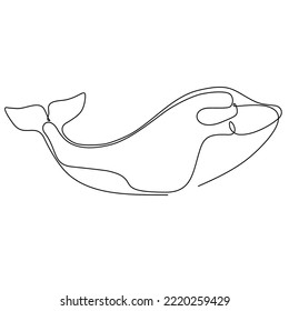 Sea fish in continuous line art drawing style. Minimalist black linear sketch on a white background. Vector illustration