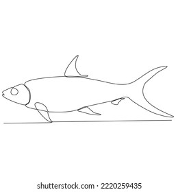 Sea fish in continuous line art drawing style. Minimalist black linear sketch on a white background. Vector illustration