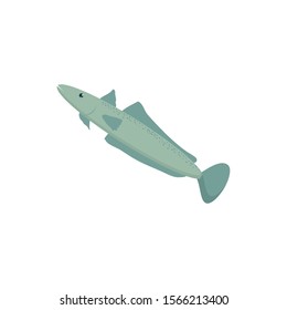 Sea fish design, Ocean nature beach underwater aquarium and marine theme Vector illustration