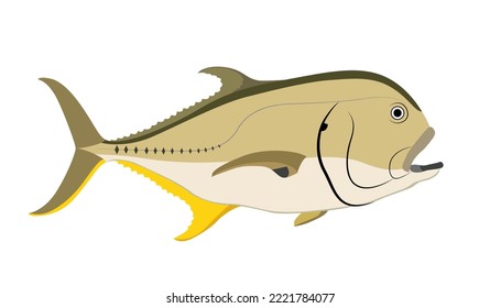 sea fish dorado on a white background