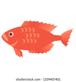 sea fish flat illustration isolated on white. Marine and underwater life series