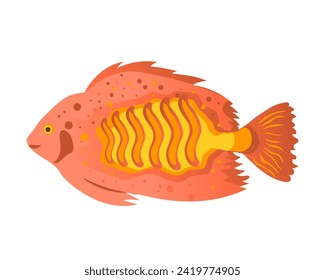 Sea fish, sea flounder on a white background. Zoological concept. Sea animals illustration, vector