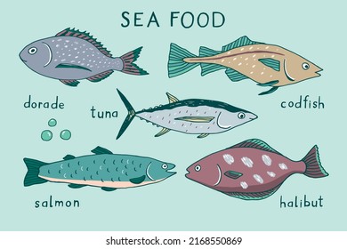 Sea fish food vector illustrations set