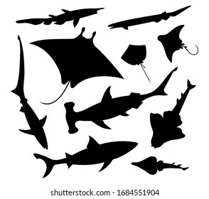 Sea fish (goblin, frilled, fox, angel, reef Sharks, common stingray, shovelnose and eagle ray, manta). Vector illustration silhouettes image set.