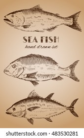 SEA FISH hand drawing set. Vintage vector illustration