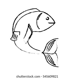 sea fish icon over white background. vector illustration