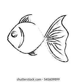 sea fish icon over white background. vector illustration