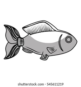 sea fish icon over white background. vector illustration