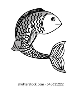 sea fish icon over white background. vector illustration