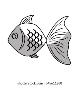 sea fish icon over white background. vector illustration
