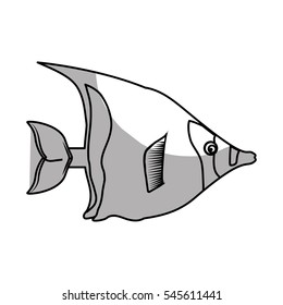 sea fish icon over white background. vector illustration