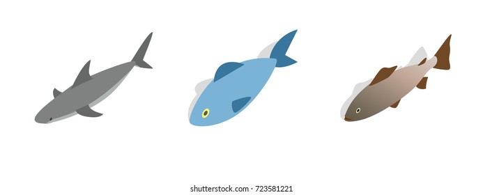 Sea fish icon set. Isometric set of sea fish vector icons for web isolated on white background
