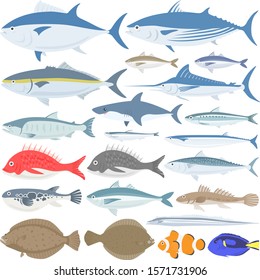 Sea fish illustration set.
Illustration of marine life.