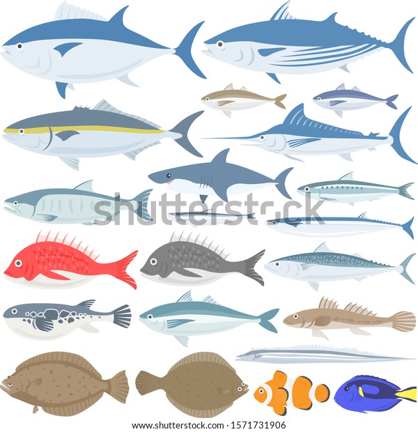 Sea\
fish illustration set.\
Illustration of marine\
life.