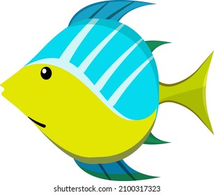 Sea fish, illustration, vector on a white background.