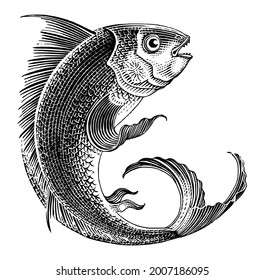 Sea fish jumping hand draw vintage engraving style black and white clip art isolated on white background