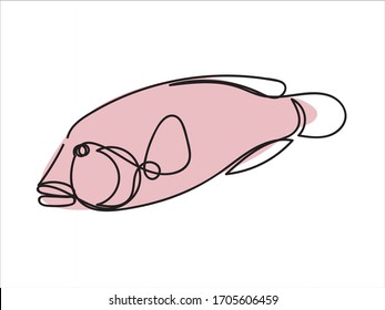 Sea fish in linear style. Napoleon fish in the sea. Stylized illustration of sea creatures